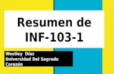Resumen de inf 103-1 (1)