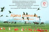 ALMA LLANERA EL SEGUNDO HIMNO DE VENEZUELA