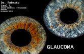 GLAUCOMA clasificación y fisiopatología