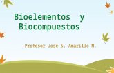 Bioelemntos y biocompuestos.