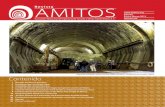 Revista amitos 85_baja