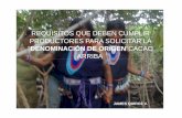 Requisitos que deben cumplir los productores para solicitar la autorización de uso de la DO Cacao Arriba: Aspectos técnico (spanish)