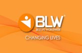 BLW Presentacion de Negocio Oficial