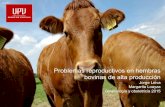 Problemas reproductivos en vacas de alta producción