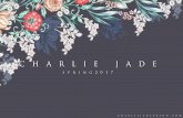 Charlie Jade Spring17 Presentation (2)