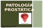 Hiperplasia Benigna de Próstata y su anatomía