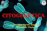Citogenetica y cromosomas 2016.  Dr. Igor Pardo Zapata. Docente Titular