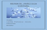 Práctica virtual del agua