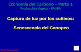 Carbono 1c pv_con_audio-2015