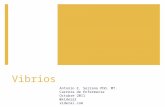 Curso de Microbiología - 13 - Vibrios