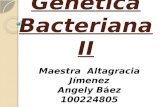 Genetica bacteriana ii