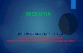 MICROTIA: MALFORMACION DE OIDO - DR. OMAR GONZALES SUAZO.