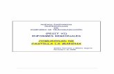 PESIT Castilla La Mancha: Estudios Socioprofesionales sobre el Ingeniero de Telecomunicación.