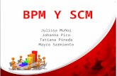 SISTEMAS DE INFORMACION BPM Y SCM