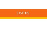 Cistitis clinicas