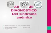 Anemia- Abordaje diagnóstico