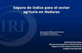Seguro de índice para el sector agrícola en Honduras