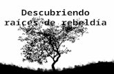 Descubriendo raíces de rebeldía # 2  retiro congregacional ibe callao