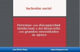 Inclusión social. discapacidad intelectual o del desarrollo.