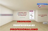 Enfermería: Profesion, profesionales, profesionalismo