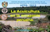 La acuicultura en la Amazonia Peruana