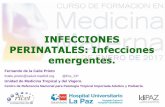 Viernes 6 infecciones emergentes