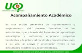 Acompañamiento academico 2012