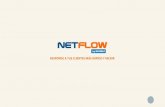 NetFlow, software atención al cliente