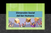 Dimension social