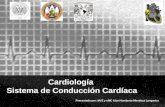 Cardiología 2  sistema de conducción cardíaca