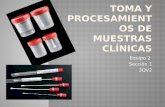 Toma y-procesamientos-de-muestras-clínicas para el diagnostico de micosis