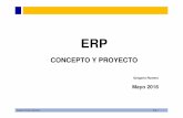 ERP: Conceptos y proyecto de implantación