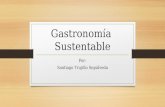 Gastronomía sustentable - Santiago Trujillo
