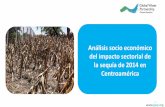 La sequía en Centroamérica: impactos sectoriales