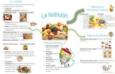 Presentación1 nutricion blog