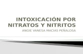 Intoxicacion por nitratos y nitritos