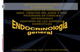 Presentación Sistema Endocrino