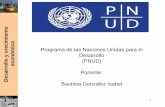 Programa de las Naciones Unidas (PNUD)