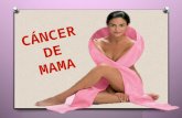 Rotafolio cancer de mama