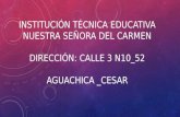 Institución Técnica Educativa Nuestra Señora del Carmen