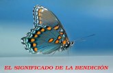 Dios Te Bendiga(SPANISH)