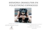 Javier Gómez Polo. Orangutan en poliestireno expandido.