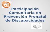 Participación comunitaria en prevención prenatal de discapacidades