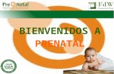 Bienvenida a Fundación de Waal - Prenatal