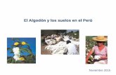 El Algodón y los suelos en el Perú -  Presentación Franklin Suarez, Perú.