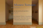 Museo tamayo Juan Downey Angeles,Gonzalez,Peralta