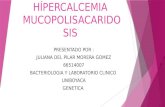 Hípercalcemia Y Mucopolisacaridosis