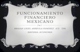 Funcionamiento financiero mexicano