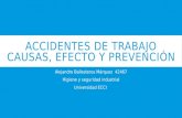 Accidentes de trabajo causas, efecto y prevención