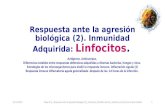 Clase nº 6 linfocitos respuesta adaptativa